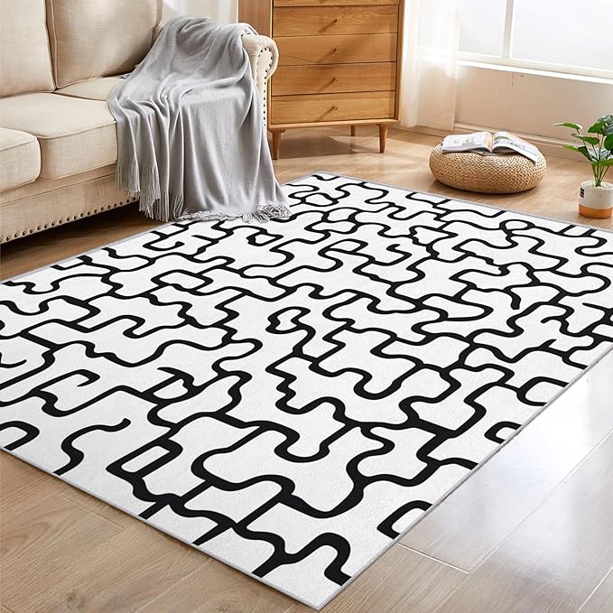 Abstract Geometric Rugs for Home Decor, 5x7 ft, Black and White Labyrinth Area Rugs for Living Room, Soft Non Slip Washable Modern Abstract Line Carpet Bedroom Decorations Dt-Ghf-31