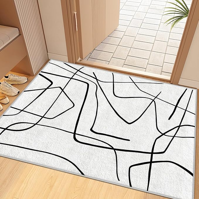 Black and White Rug - Abstract Area Rug, Black and White Rugs for Living Room, Modern Minimalist Washable Rugs, Contemporary Carpet Non Slip Home Decor, Curve 3x5