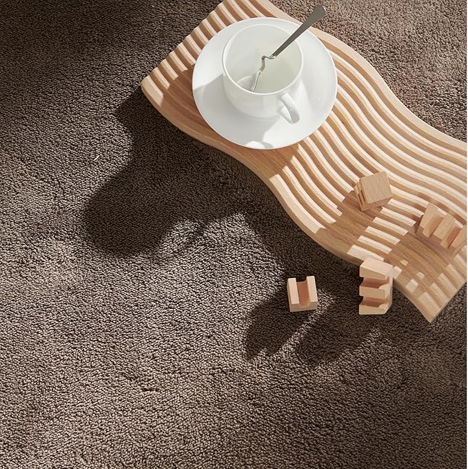 jinchan Solid Plush Area Rug 2x3 Performance Shaggy Washable Rug Indoor Entryway Doormat Soft Modern Faux Wool Cozy Non Slip Carpet for Living Room Kid Room Bedroom Nursery Brown