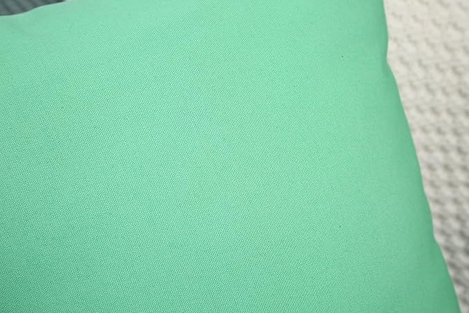 TangDepot Handmade Decorative Solid 100% Cotton Canvas Throw Pillow Covers/Cushion Covers, 45 Colors Available - (18" x18" , Mint Green, 2 Count (Pack of 1))